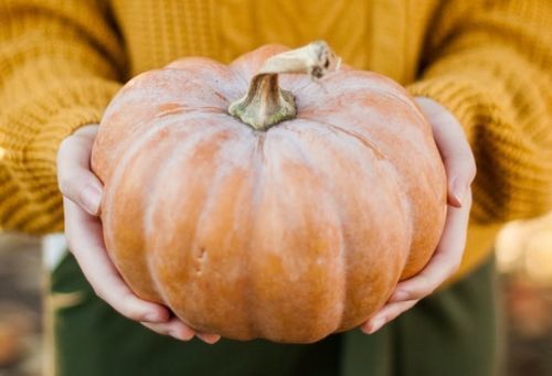 5 Marketing Ideas Leading Up to Thanksgiving
